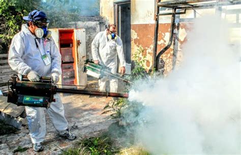 Mulher de 33 anos morre de dengue Agência GBC