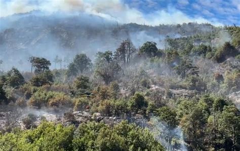 Hasta Palena Llegaron Los Incendios Forestales Grave Afectación Al