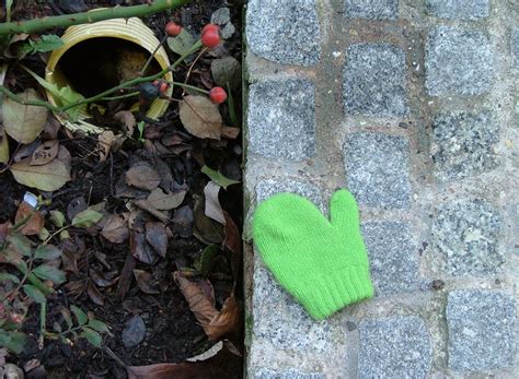 Lost Mitten Marc Donis Flickr