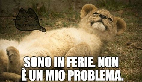 Sono In Ferie Non Un Mio Problema Immagini Immagini Divertenti