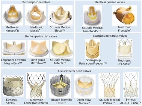 Prosthetic Heart Valves For Transcatheter Aortic Valve Replacement Hu