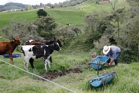 San Pedro De Los Milagros Un Pilar En Medio De Verdes Praderas Al