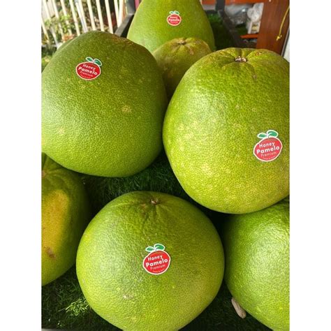 Jual Jeruk Bali Honey Pomelo Pomelo Madu Buah Jeruk Nuri Fruits Buah