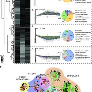 The Tasa Mutant Displays Major Gene Expression Changes A Heatmap And