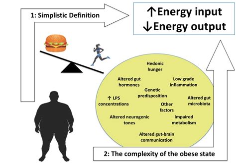 Figure 1 Schematic Diagram Comparing The Simplistic Endotext