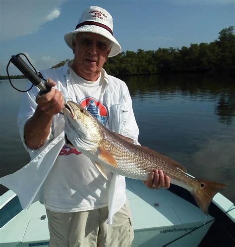 August Red 2 McCann Light Tackle And Fly Fishing For Snook Tarpon