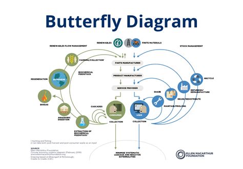 Wat Is Het Butterfly Diagram Circulearning