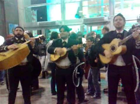 Mariachi Cielito Lindo Real De Jalisco Veracruz I En Pozuelo De