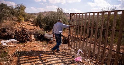 Des Colons Israéliens Attaquent Des Agriculteurs Palestiniens En