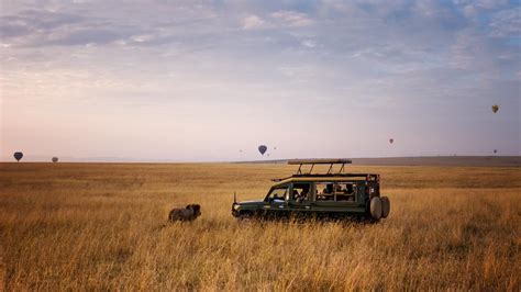 16 Best Hotels in Maasai Mara. Hotels from $81/night - KAYAK