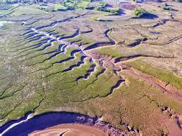 Macam Pola Aliran Sungai (Lengkap) Beserta Gambar dan Penjelasan