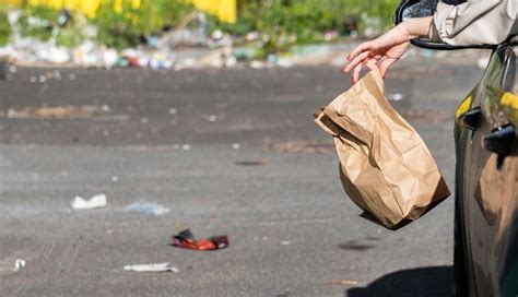 Fuertes Multas Por Tirar Basura En Tj A Partir De 2023 Secretario