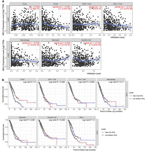 Association With Neil3 Expression And Tumor Infiltrating Immune Cells Download Scientific