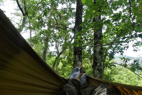 Casse croûte en forêt