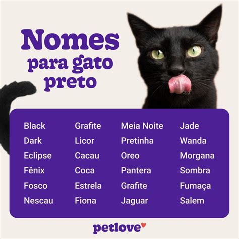 Nome Para Gato Preto 200 Ideias Criativas Em 2024 Nomes De Gatos