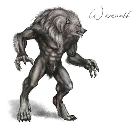 Pin By Wolfie29 On Werewolfs Werewolf Art Brotherhood Of The Wolf