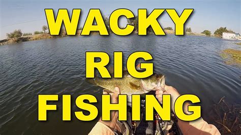 Wacky Rig Fishing Bass Fishing Youtube