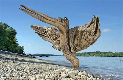 Incredible Sculptures Made From Found Driftwood