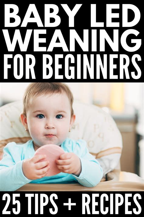 Baby Led Weaning For Beginners 25 Tips And Recipes For New Moms