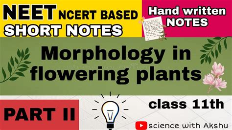 Morphology In Flowering Plants Chapter 5 Class 11th Short Notes Neet