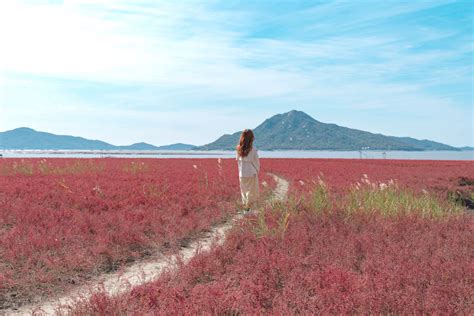 Dmz 평화의길 생태여행 7개 코스 20일 부터 개방 헤럴드경제