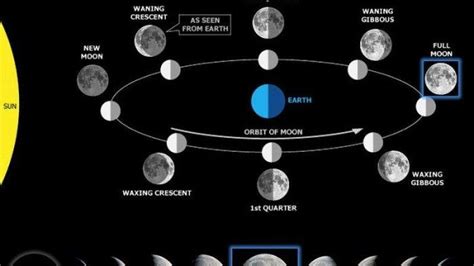 Class 7 Science Learning Materials Explanation Of The 8 Phases Of The