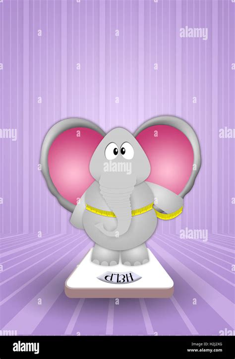 Elephant lose weight Stock Photo - Alamy