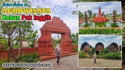 Agrowisata Kebun Pak Inggih I Sekapuk Ujungpangkah I Wisata Baru Di