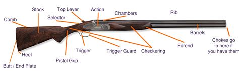 Parts Of A Pump Action Shotgun