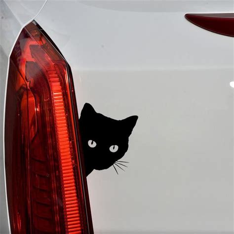 Funny Cat Car Decals - Cat Mania