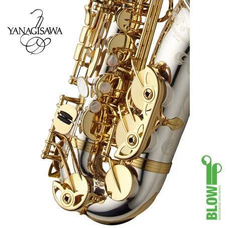 Yanagisawa A W Alto Saxophone Solid Silver