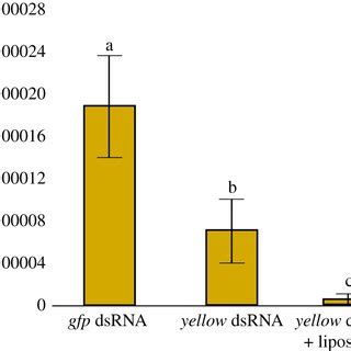 Transcript Levels Of A DsRNase1 And B DsRNase2 Genes Relative To