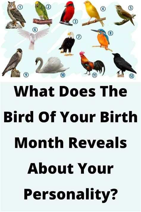 Birds May Birth Month Symbols Birth Month Meanings Birth Month Quotes