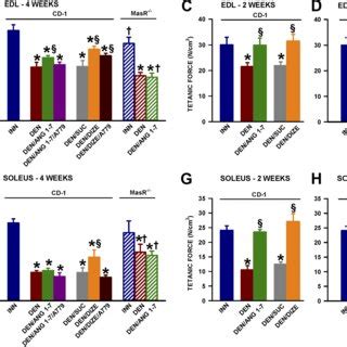 PDF Angiotensin 17 Prevents The Excessive Force Loss Resulting From