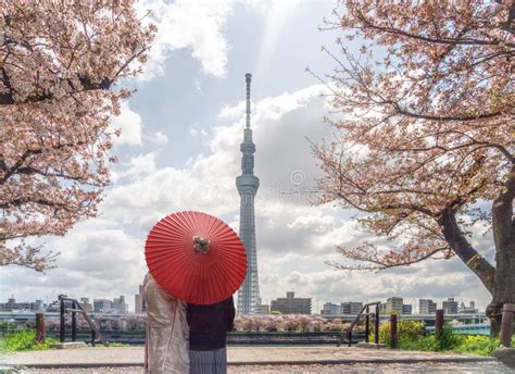 Torre Del Rbol Del Cielo Tokio Con Flor De Cerezo Rosa Sakura En