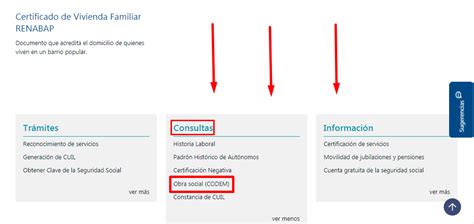 Codem Anses Formularios 】cómo Conseguirlos Y Descargarlos