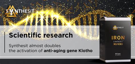 Synthesit Almost Doubles The Activation Of Anti Aging Gene Klotho By