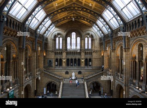 Natural History Museum Main Hall Hi Res Stock Photography And Images