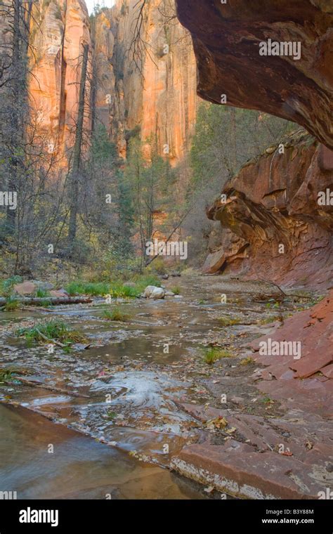 Az Arizona Oak Creek Canyon Coconino National Forest West Fork Of Oak Creek In Fall Stock