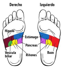 Puntos En Los Pies Que Mejoran Tu Salud Mi Vida Plena