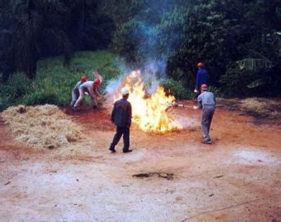 Curso De Preven O E Combate A Inc Ndio Florestal Tudo Contra Inc Ndio