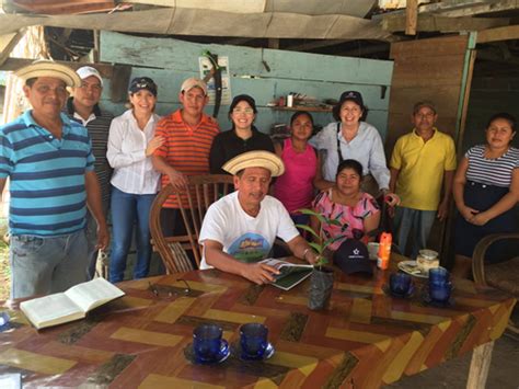 Caf De Panam Panam De Peque Os Caficultores A Exitosos