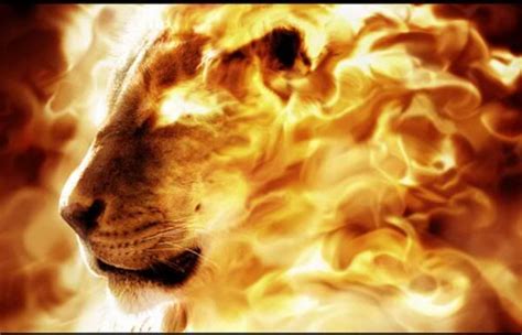 For Our God Is A Consuming Fire Angels Fire Lion Lion Of Judah