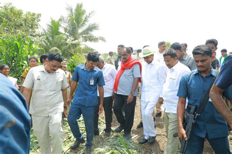 Cm Kcr పంట నష్టాన్ని పరిశీలించిన సీఎం కేసీఆర్‌ Cm Visited Crops In