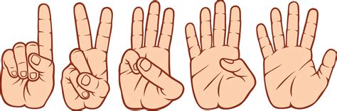finger counting set  vector art  vecteezy