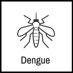 Dengue Fundación iO