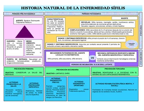 Historia Natural de la enfermedad Sífilis HISTORIA NATURAL DE LA