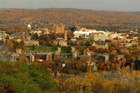 Johnson at Cornell > Programs > Full-Time MBA > One-Year MBA > Life At ...