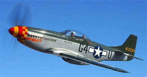 P 51d Mustang Fighter 7petals In