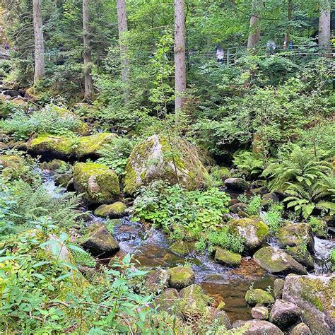 Triberger Wasserf Lle Frisch Feuchtes Ausflugsziel Im Schwarzwald